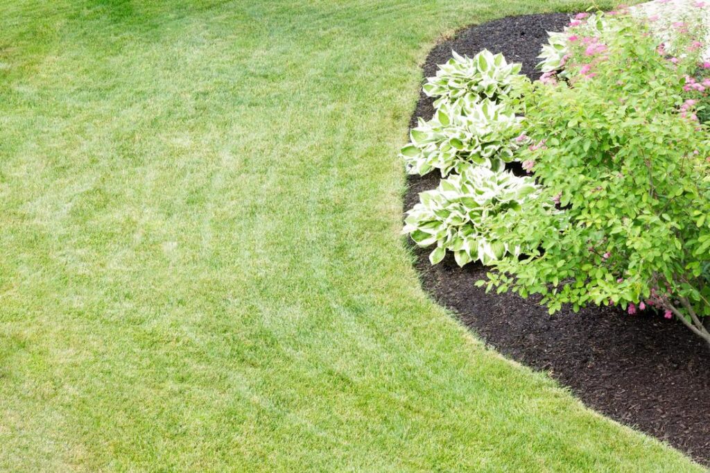 Lawn Care Protection Tree Service Dunwoodie Yonkers NY